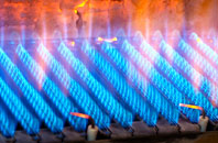 Dizzard gas fired boilers